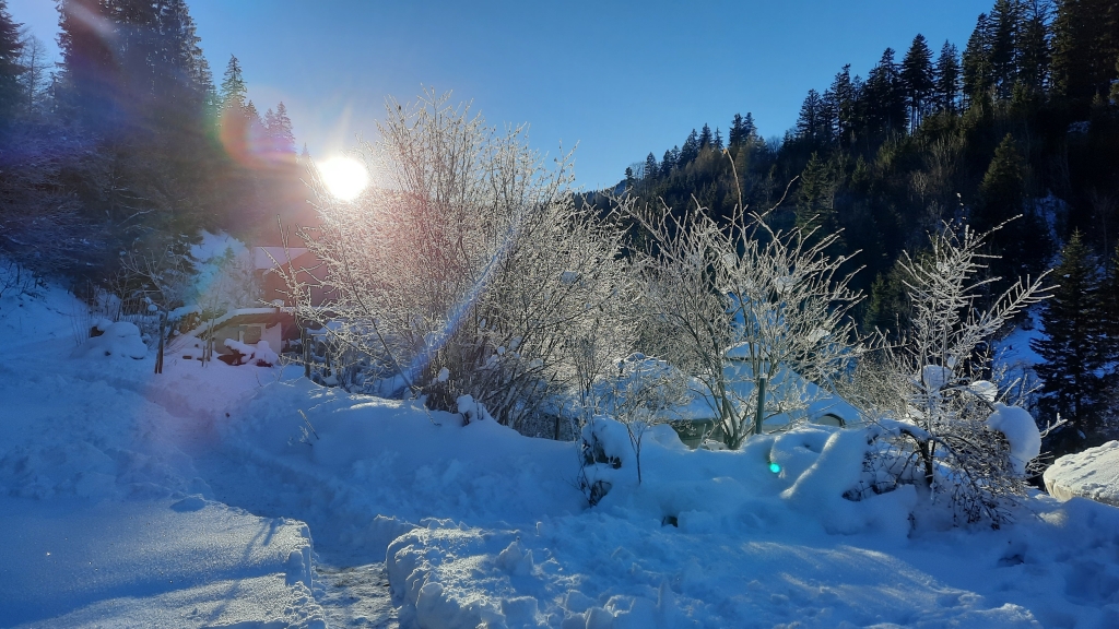 You are currently viewing Outdoor-Lehrgang Naturcoaching im Winter Wonderland